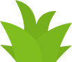 Small plant 2